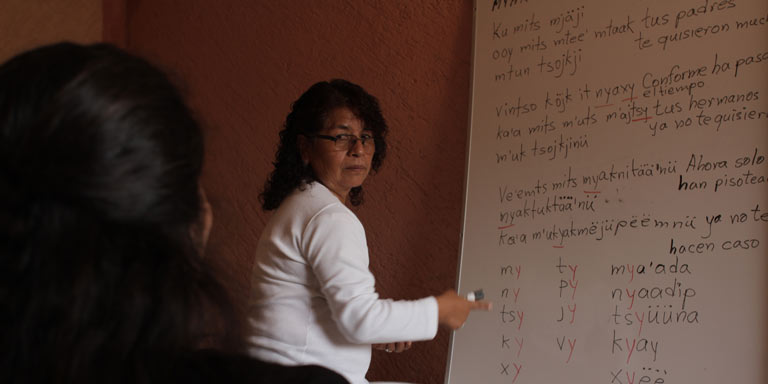 Woman teaching at a whiteboard