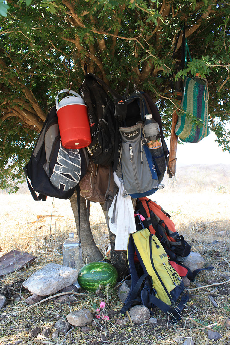 Backpacks around a tree