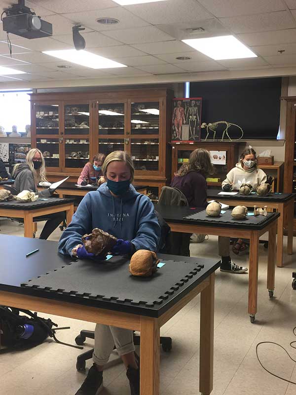 Students from bioanthropology attend a lab.