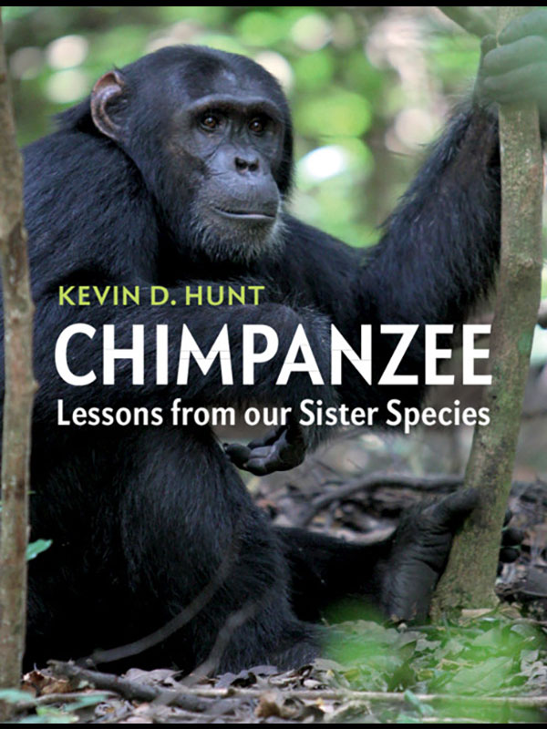 The book cover of Chimpanzee: Lessons from our Sister Species, which depicts a chimpanzee.