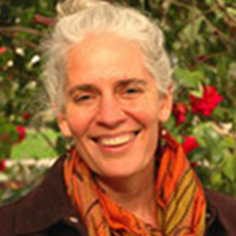A headshot of Professor Susan Seizer, who wears a dark blazer and orange scarf and poses outside.
